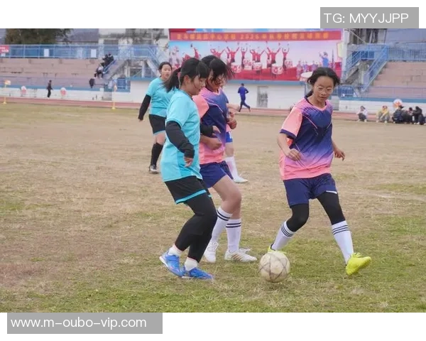 校园绿茵场上的梦想与拼搏足球带给我们的青春记忆