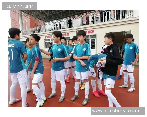 河北省足球队奋勇争先力争晋级全国联赛展现青春风采与团队精神